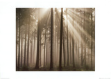Filtered Light Affiches par Charles Bowman