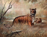 Strength & Fierceness (Tiger) Prints