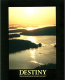Destiny (River) Affiches
