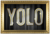 YOLO Bling Faux Frame Poster Posters