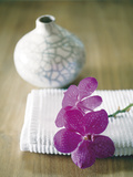 Orchidée rose Affiches par Amelie Vuillon
