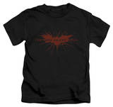Youth: The Dark Knight Rises - Distressed Bat T-shirts