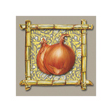 Vegetables Onions Posters
