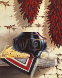 South West Indian Affiches
