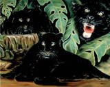Black Panther (Collage) Prints