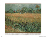 View Of Arles With Irises Prints by Vincent van Gogh