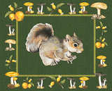 Nice Animals Squirrels Print