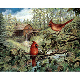 Cardinals (Mill) Photo