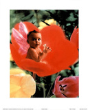 Baby In Flower I Kunstdruck