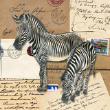 Africa Zebras Prints