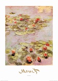 Red Nympheas Art par Claude Monet