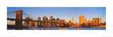 Manhattan Skyline Daylight Poster