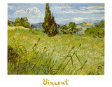 Oat Field with Cypress Prints by Vincent van Gogh