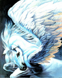 Pegasus Wings Poster by Sue Dawe