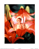 Baby in Flower ll Posters