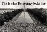 What Democracy Looks Like Poster Poster