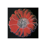 Flower for Tacoma Dome, c.1982 Black & Red Affiches par Andy Warhol