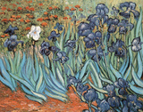 Irises in Garden Poster by Vincent van Gogh