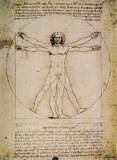 L'uomo Vitruviano Vitruvian Man Print by Leonardo da Vinci 