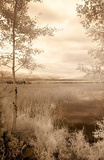 Peaceful Morning I Posters par Monte Nagler