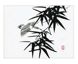 Bamboo and Bird Prints