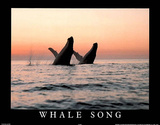Whale Song Art Photo Prints