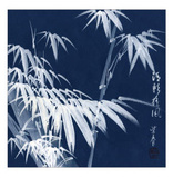 Bamboo B&W Detail Prints