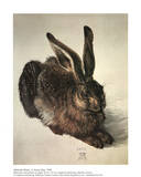 Un jeune lièvre Posters par Albrecht Dürer