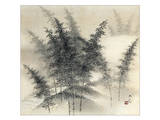 Bamboo Grove Poster