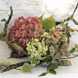 Hortensias Posters by Catherine Beyler