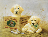 Wingmaster Shot Shells Hunting Dogs Tin Sign