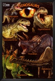 Dinosaurs - Natural History Museum Photo