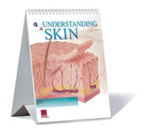 Understanding Skin Educational Medical Flip Chart Prints