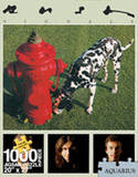 Rush Signals 1000 Piece Jigsaw Puzzle Puzzle