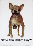 Who You Callin' Tiny Tin Sign