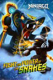 Ninjago Lego Posters