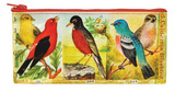 Bird Pencil Case Pencil Case