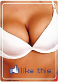 Boobs Like This Tin Sign