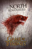 Game of Thrones The North Remembers TV Poster Print Posters