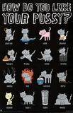 How Do You Like Your Pussy Funny List Art Poster Print Posters