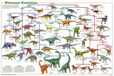 Laminated Dinosaur Evolution Educational Science Chart Poster Pôsters