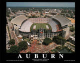 Auburn University Jordan-Hare Stadium NCAA Sports Print