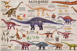 Laminated Sauropods Educational Dinosaur Science Chart Poster Pôsters