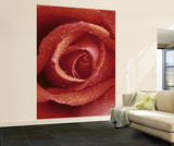 Red Rose Huge Wall Mural Art Print Poster Wall Mural