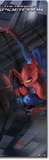 The Amazing Spider-Man Comic Door Poster Print Posters