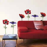La Cocotte Anemones Wall Stickers Wall Decal