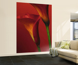 Red Calla Lilies Huge Wall Mural Art Print Poster Reproduction murale géante