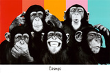 The Chimp Compilation Pop Art Print Poster Pósters