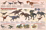 Laminated Tyrannosaurs Educational Dinosaur Science Chart Poster Posters