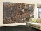 Great Eight Big Buck Deer Mural Great Eight Big Buck Deer Mural